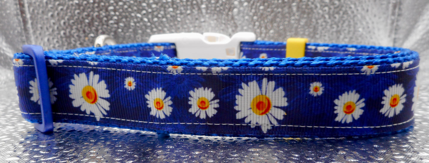 Daisies Adjustable Dog Collar on Royal blue