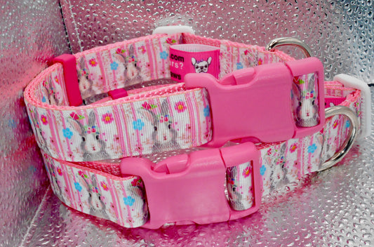 Bunny Adjustable Dog Collar Pink Bunnies
