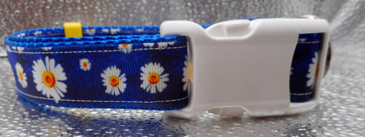 Daisies Adjustable Dog Collar on Royal blue